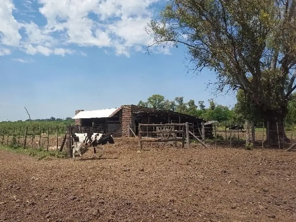 VENDE CAMPO DE 17 HECTÁREAS EN MARCOS PAZ