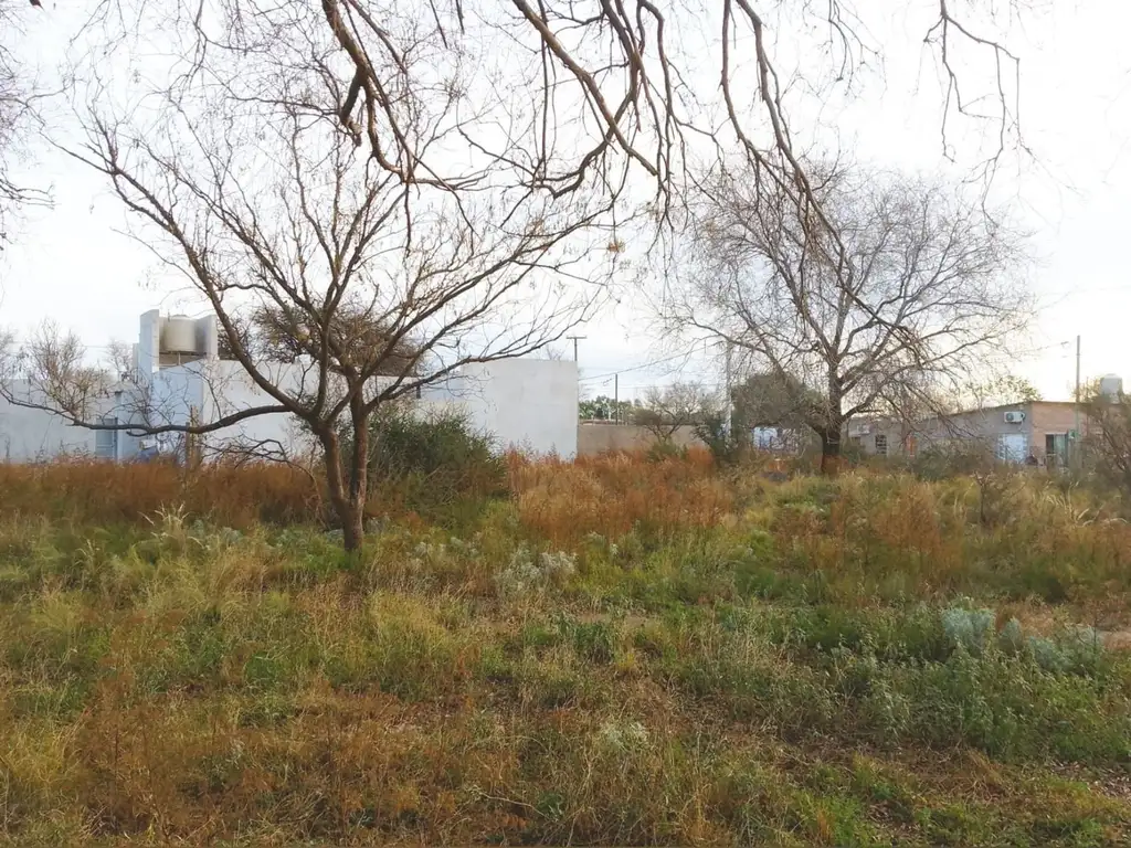 Terreno en Meringer entre Datri y Mussio, El Faro