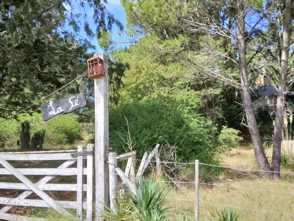 4,5 HECTAREAS TOTALMENTE ARBOLADAS CON SALIDA A CALLE 32 DE VILLA GESELL