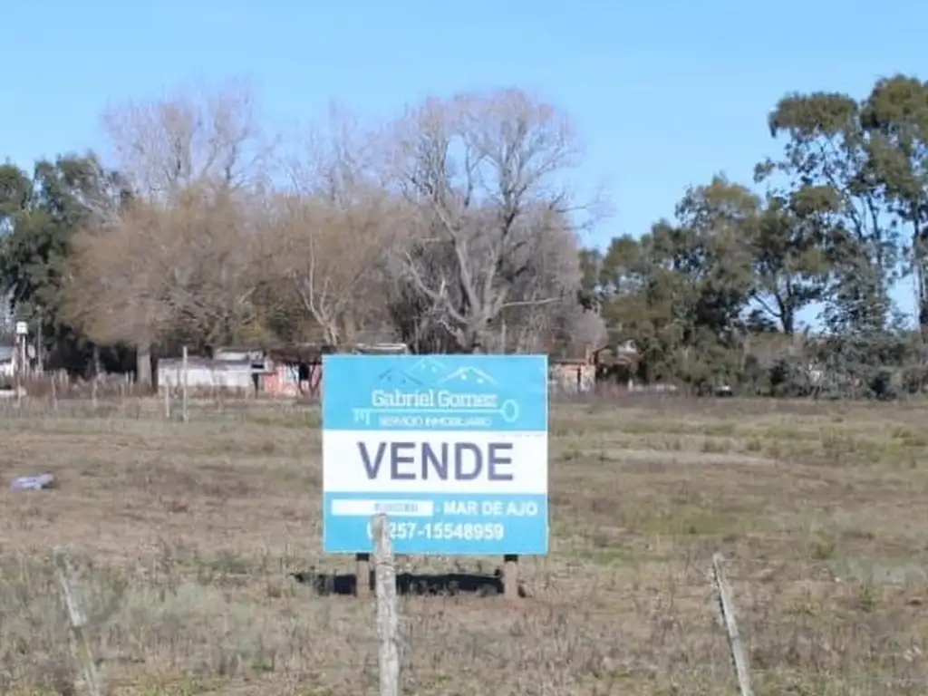 DOS LOTES EN VENTA - PARAJE PAVON(Gral. Lavalle)