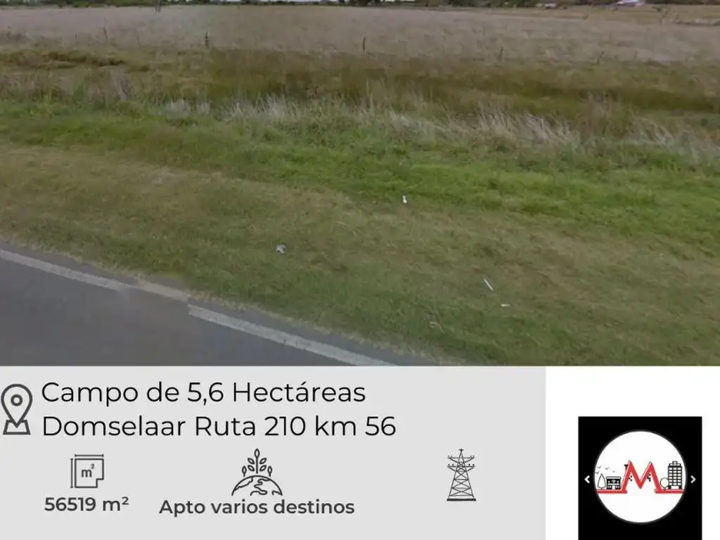 venta CAMPO de 5 Hectareas en Domselaar sobre RUTA 210