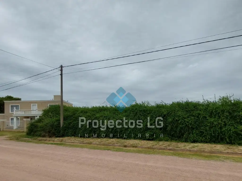 VENTA- 2 LOTES DE 2.500 M2 - SINSACATE