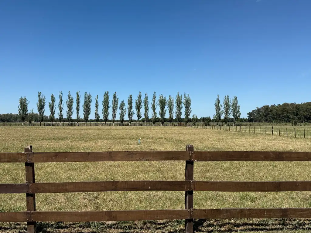 Terreno en La Macarena