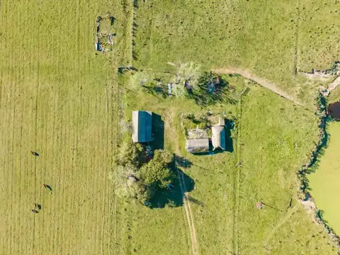 VENTA CHACRA / CAMPO DE 19,99 HECTÁREAS, ATLÁNTIDA