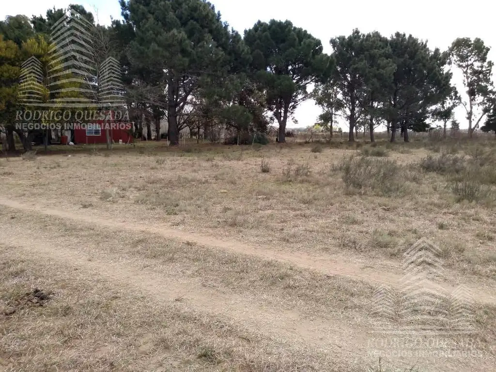 Terreno en Calle El Cangrejo -Paraje Pavon-