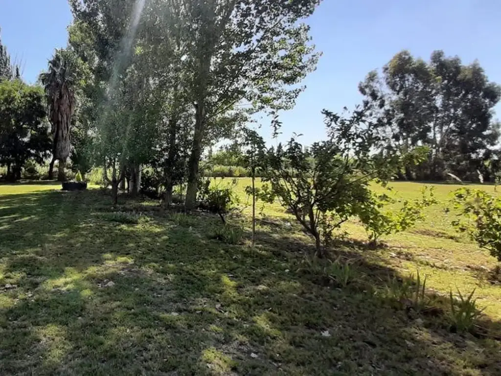 VENTA DE CAMPO 4Hectareas CON CASA Y PILETA MAIPU