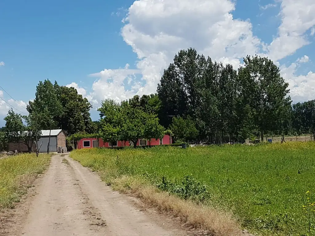 CASA RURAL  CON GALPÓN Y DEPARTAMENTO