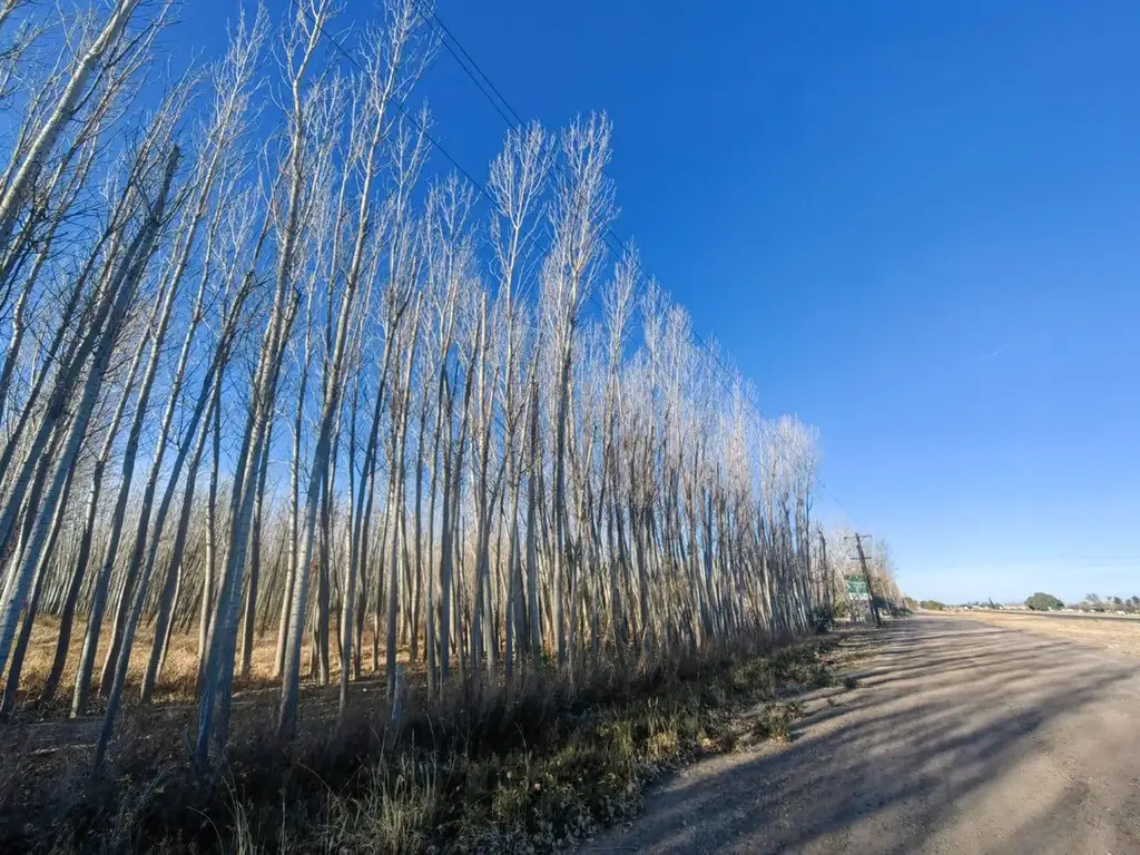 VENTA GRAN FINCA EN LA DORMIDA SANTA ROSA MENDOZA