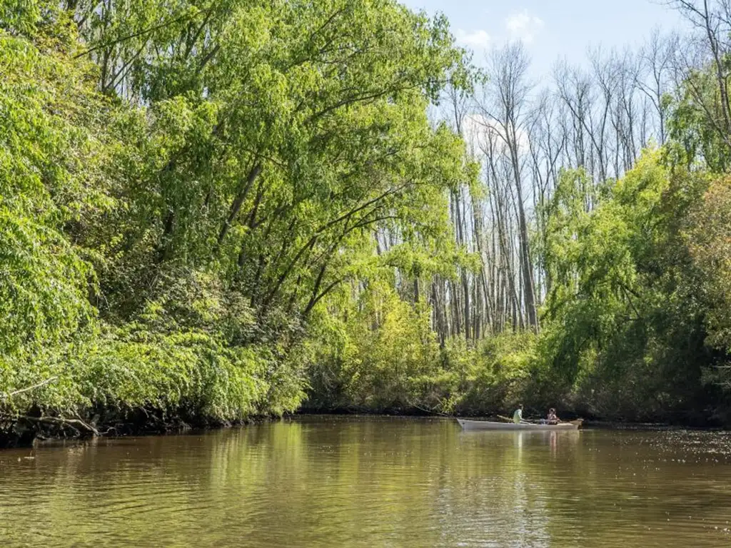 VENTA TERRENO 87,5 ha. -DELTA del PARANÁ 2da SECC.