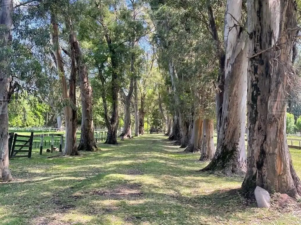 Terreno Campo  en Venta en Pilar, G.B.A. Zona Norte, Argentina