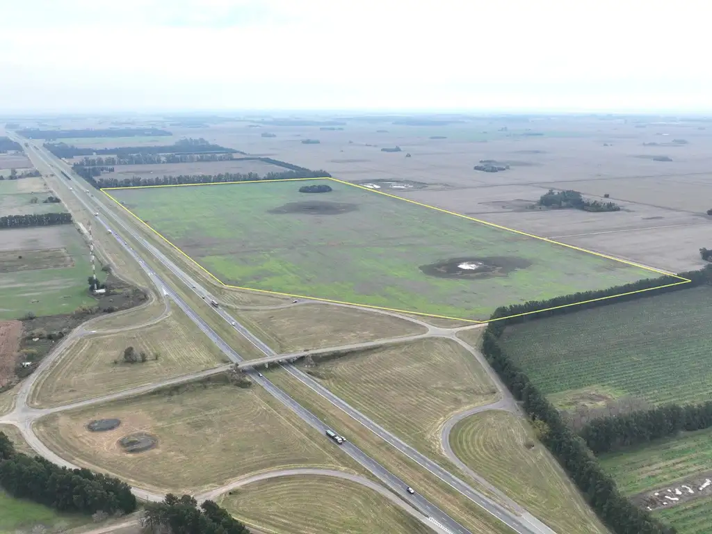 73 Has. Campo agrícola sobre Puente del Km 131 de Ruta 9