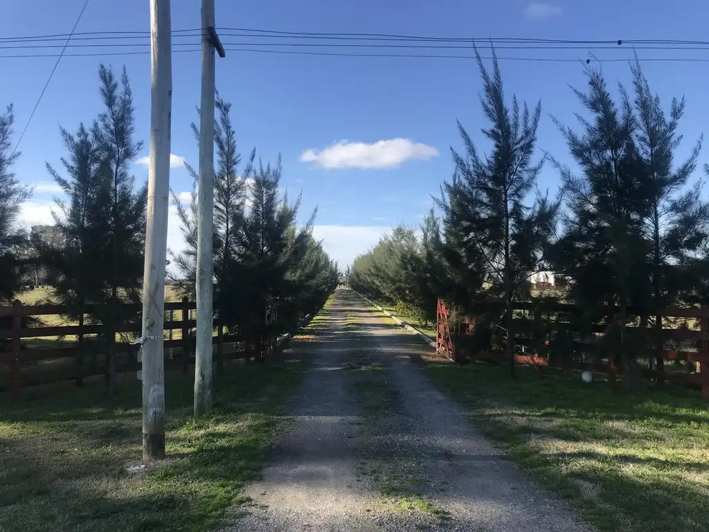 Campo en venta en Magdalena Ruta 11 Dacal Bienes Raices