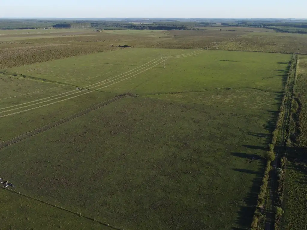 Campo agrícola ganadero excelente ubicación