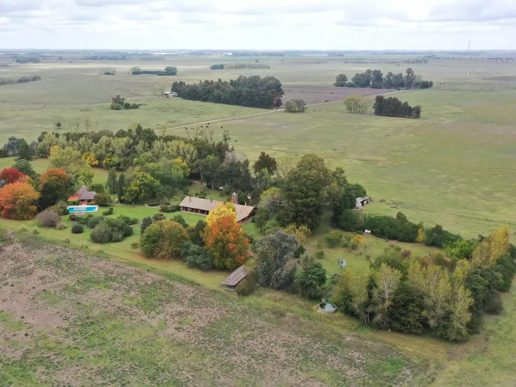 Campo en Chascomus