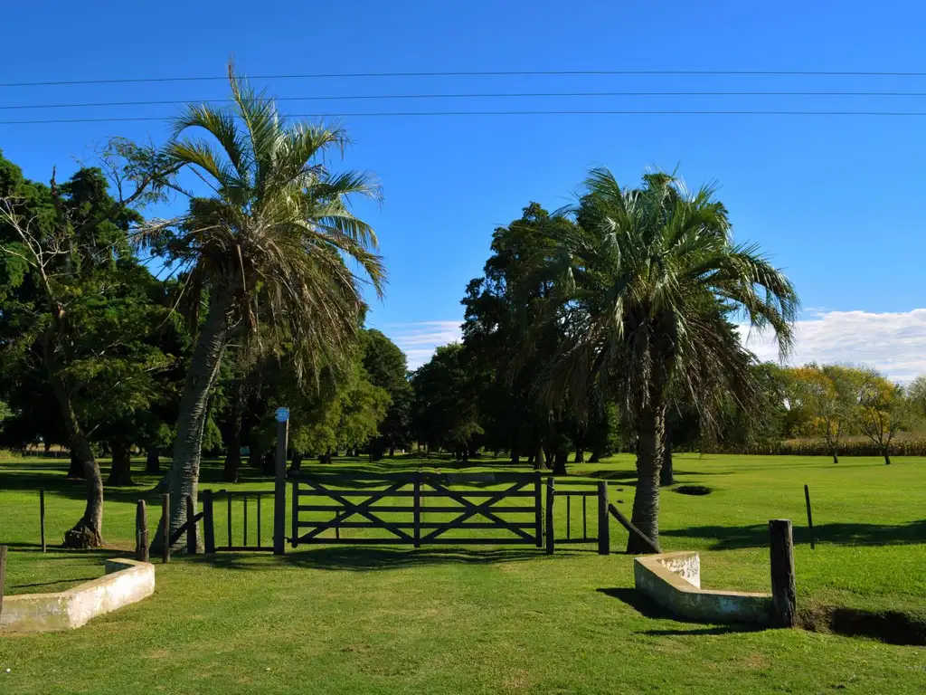 Campo - Venta - Argentina, Baradero