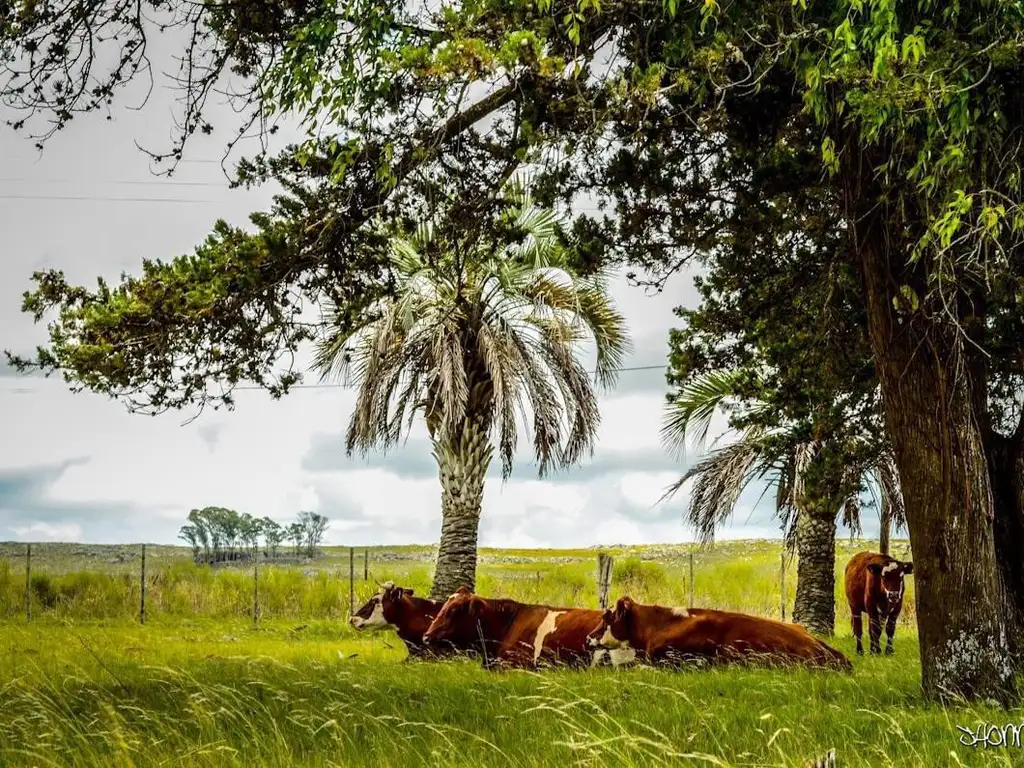 Campo minutos de Aigua