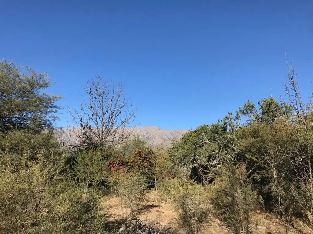 CAMPO EN EL HUAYCO LAS CALLES