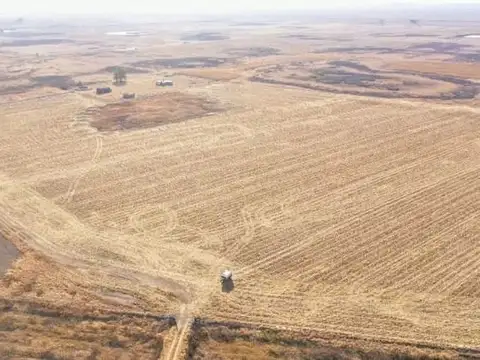 Venta de Campo Agrícola-Ganadero 170 ha