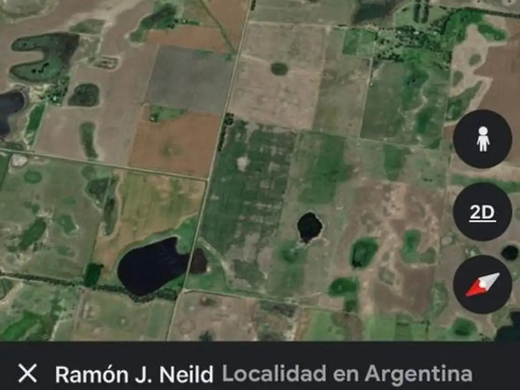 Campo mixto 120 has en Ramon Neild - Agricola Ganadero