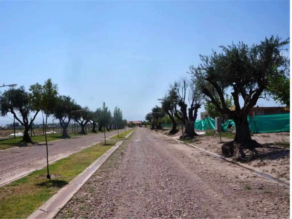 HERMOSO LOTE EN VENTA EN BARRIO PRIVADO OLIVOS DEL TORREON