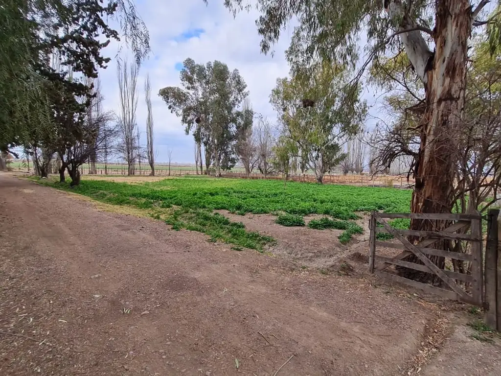 VENTA FINCA 51HA CON DOS POZOS LUJAN