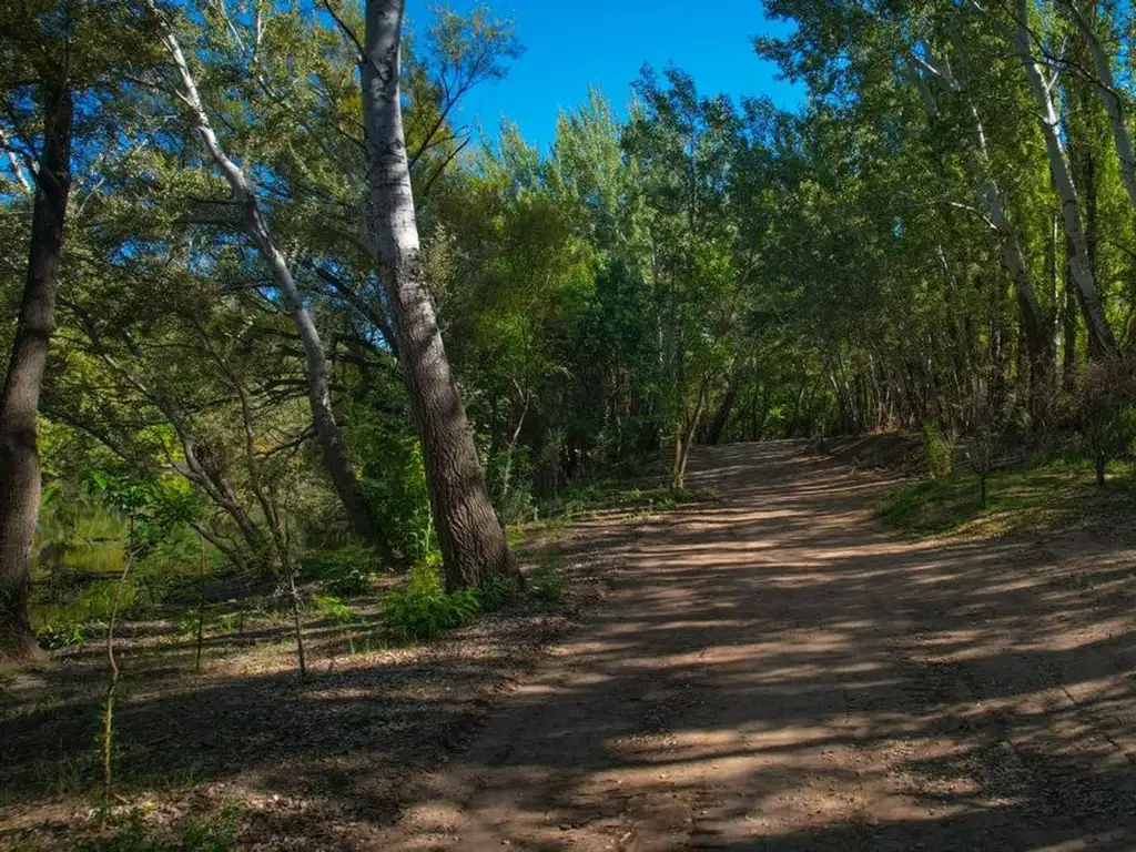 La Reserva Bario Botánico