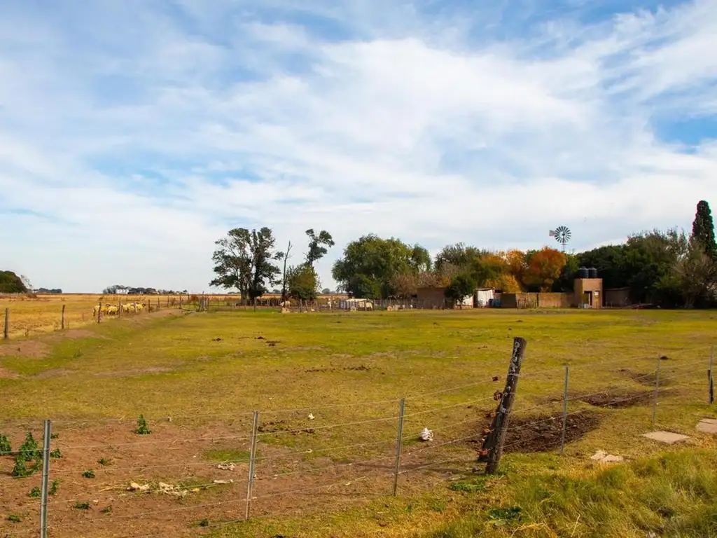 Hectárea y media Álvarez ruta prov 18 km 18.5