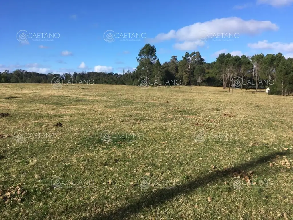 Venta terreno en Rincón del Indio Punta del Este