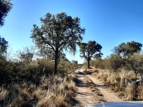 Vendemos Presiosa Hectarea en Yacanto, Traslasierras!