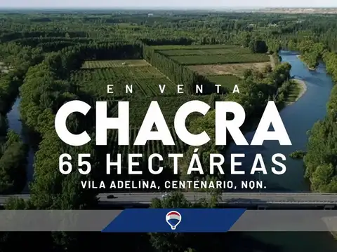 VENTA CHACRA 65 HECTÁREAS, CENTENARIO NEUQUEN