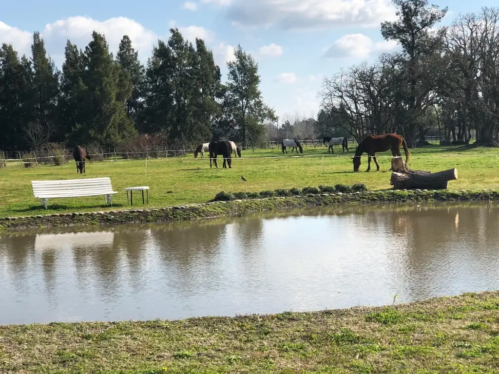 CHACRA EN VENTA CARDALES