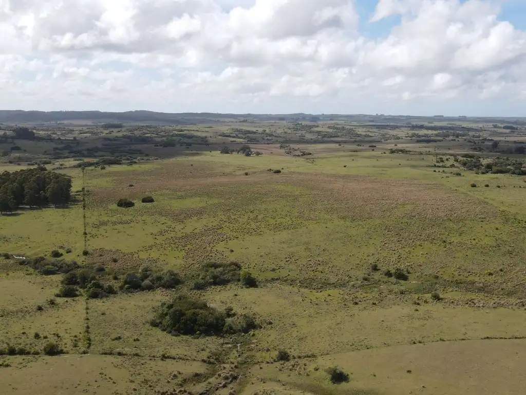 Campo de 26ha en Garzón, Maldonado