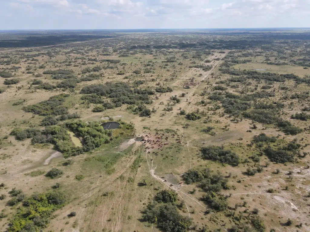 3261 has ganaderas de cría sobre Ruta Nac. N°98 (asfaltada) - Tostado - Santa Fe