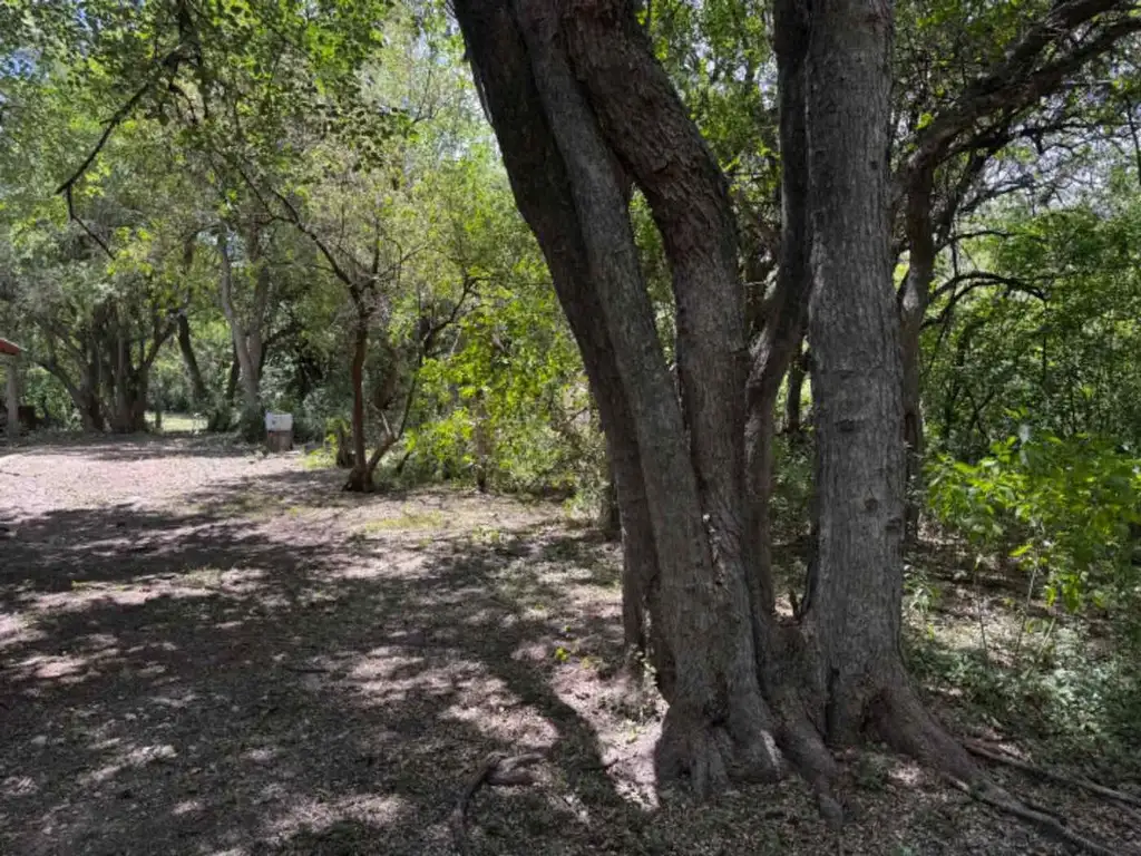 LOTE CON ARROYO Y SIERRAS EN LOMA BOLA, CÒRDOBA