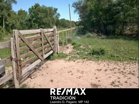 Campo en venta 53ha Selvas del Rio de Oro - Chaco