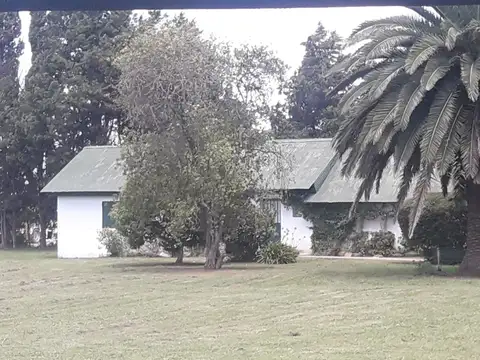 CAMPO de 3.38HA CON CASA EN VENTA EN PERGAMINO