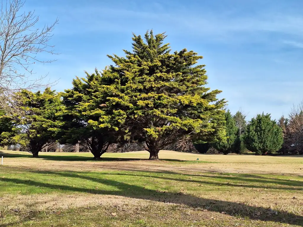 LOTE de terreno en VENTA, La Rinconada, Ibarlucea.