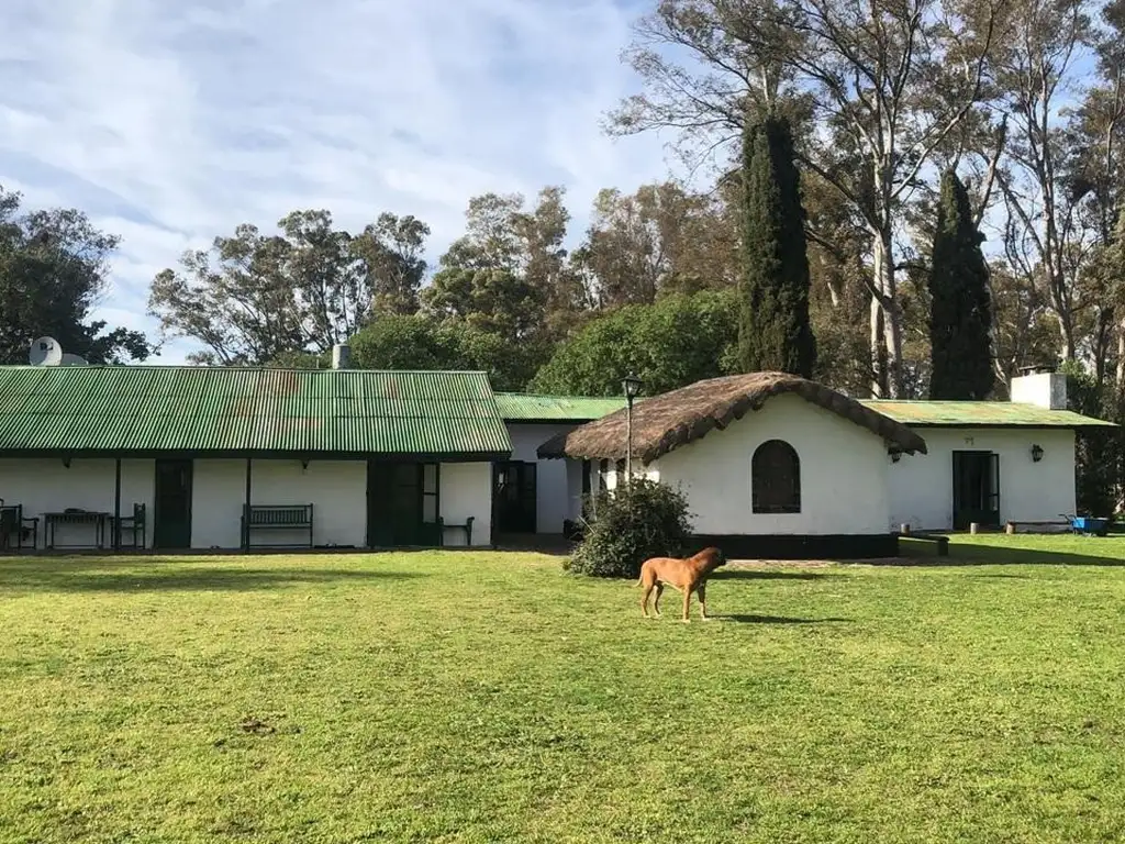 Venta Campo Las Flores 600 Ha Importante Casco. Agrícola - Ganadero / Turismo