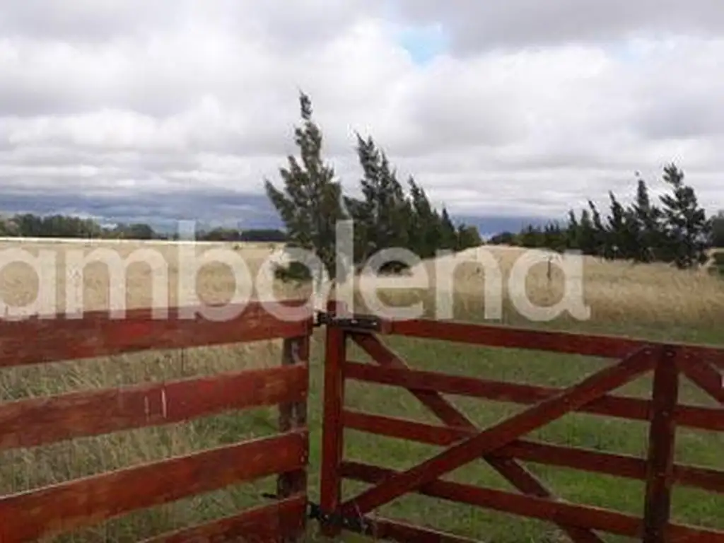 Terreno Campo  en Venta en Punta Indio, Resto de la Provincia, Buenos Aires