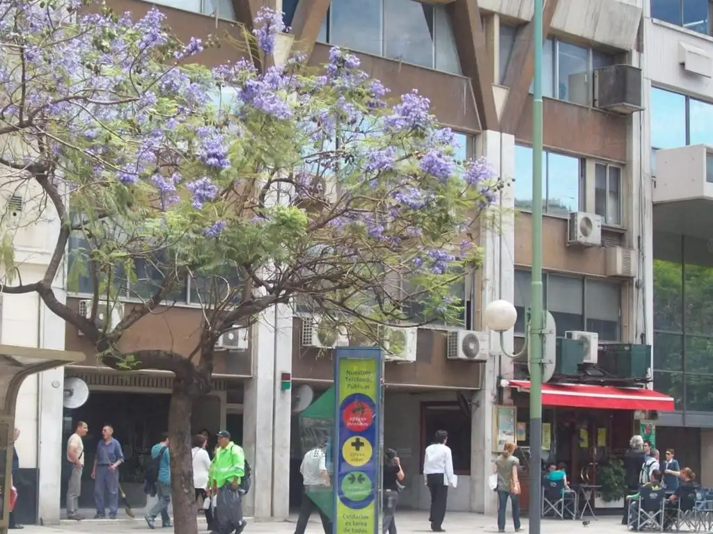 MONOAMBIENTE AMOBLADO EXCEL UBICACION A MTS OBELISCO