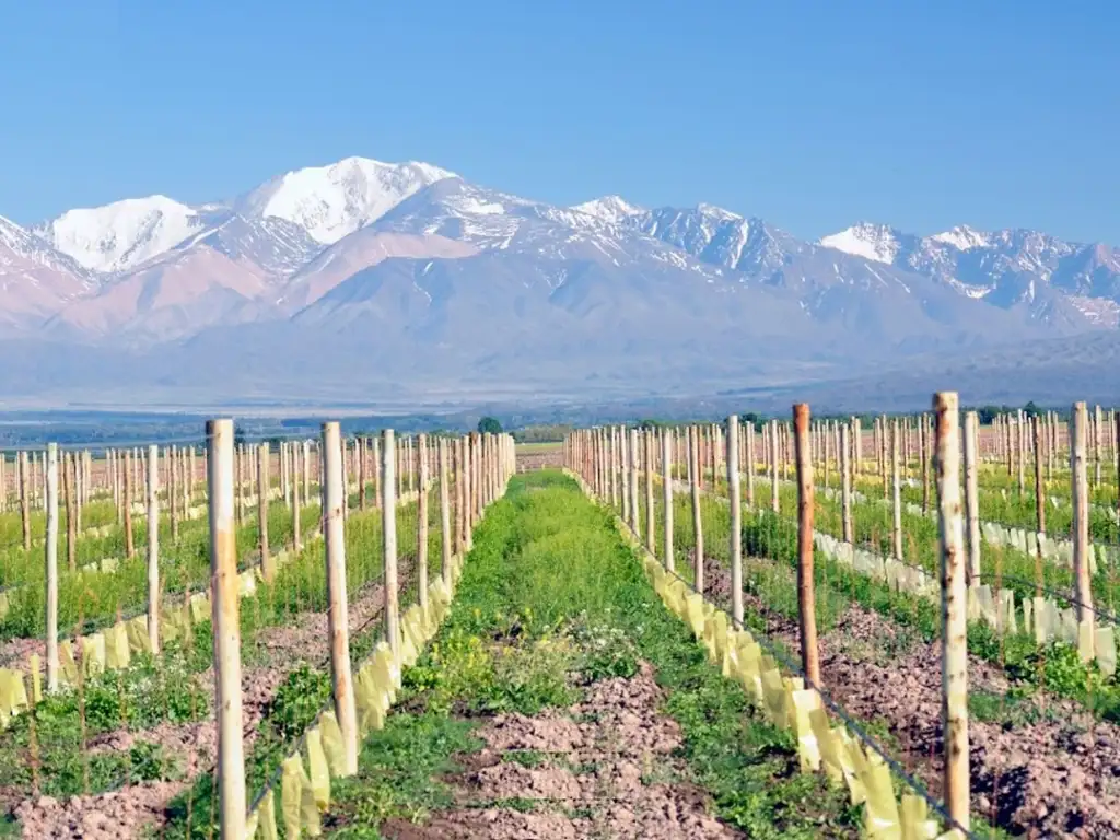 VENTA LOTE TUPUNGATO VALLEY MENDOZA