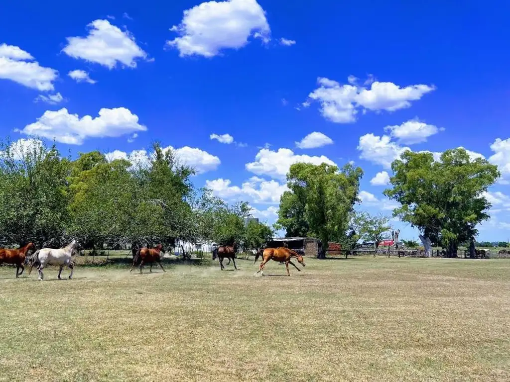 Campo sobre Ruta 2 km. 74