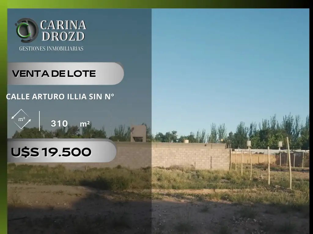 Terreno / Lote en venta de 310m2 ubicado en Luján de Cuyo