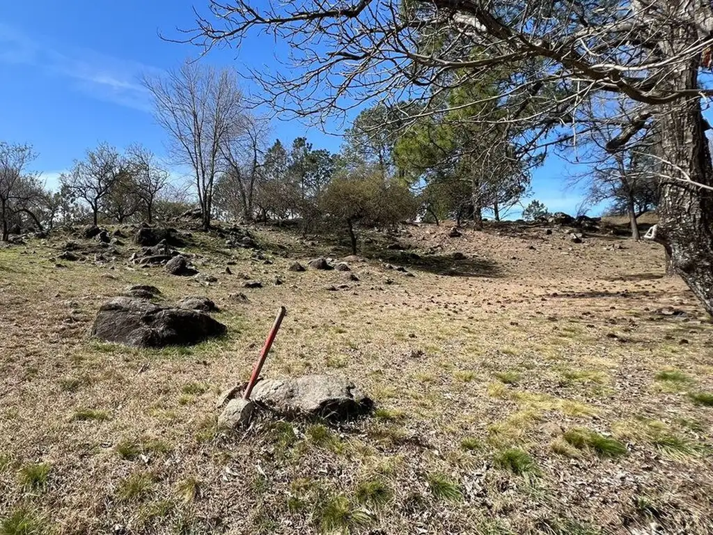 TERRENO LOTE 1646 M2 SOBRE CAMINO A YACANTO