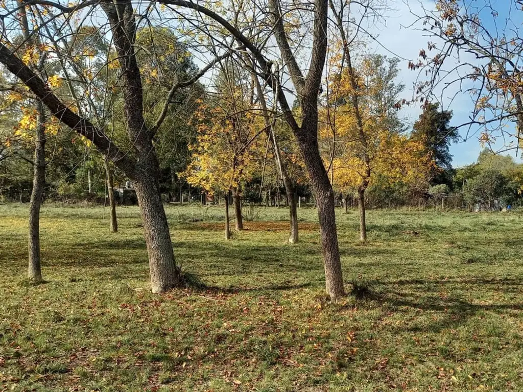 lote en Marcos Paz