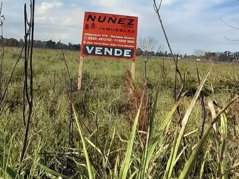 EXCELENTE CAMPO EN VENTA 