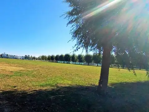 Terreno en Venta en Campos De Roca II