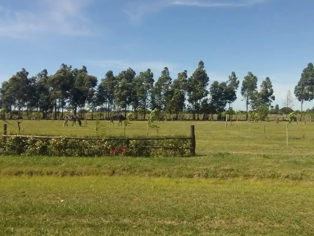 LOTES GRANDES EN VILLA RENATA - ESQUINA - CORRIENTES