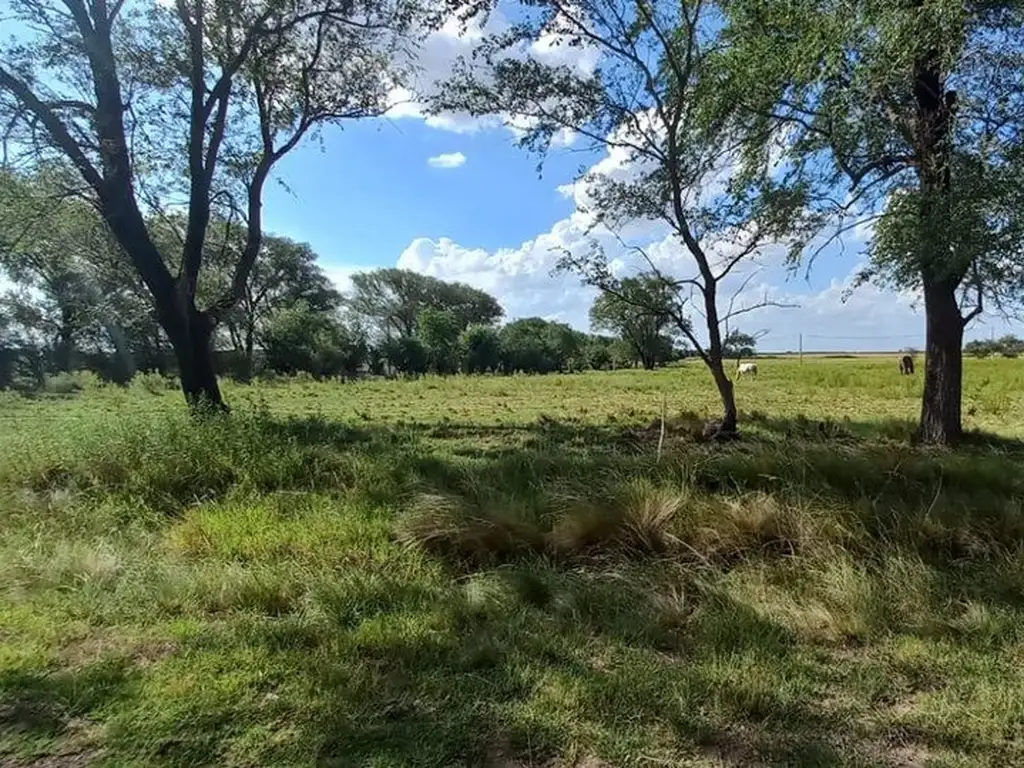 Terreno en 12 de octubre e/ Belgrano y San Martin