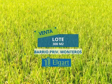 Lote - Venta - Argentina, Monteros